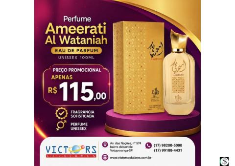 VICTORS CELULARES E PAPELARIA 17 98200-5000